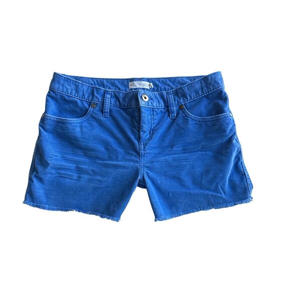 Carve Designs Blue Women's Shorts - Picture 2 of 8